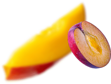 Lipty